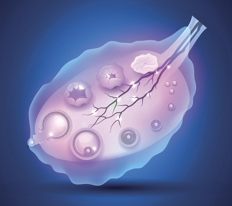 广州试管婴儿成功率高吗？广州做试管婴儿成功率分析